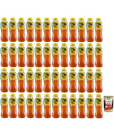 Italian Gourmet E.R. Fuze Tea Pack of 48 Disposable PET Bottles 400ml + 400g