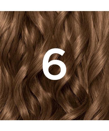 Garnier Nutrisse 6 Light Brown Permanent Hair Dye - Natural-Looking Color for All Hair Types - Buy Online on GoSupps.com