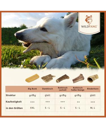 Buy Wildfang Coffee Wood Dogs - Durable 100% Natural Chewing Root for Dogs & Puppies | XL Size for Dogs Over 45 kg - Buy Online on GoSupps.com