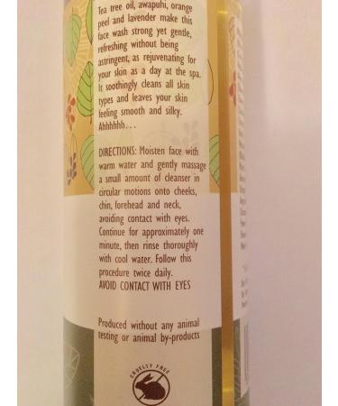 Trader Joe's Spa Face Wash & Tea Tree Tingle Body Wash - Best International Shipping - Buy Online on GoSupps.com