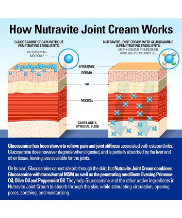 Natural Arthritis Pain Relief Cream - MSM Joint Cream for Stiffness and Immobility with Glucosamine Turmeric Menthol Crystal Camphor Oil Frankincense and Devil s Claw. 120g by Nutravite - Buy Online on GoSupps.com