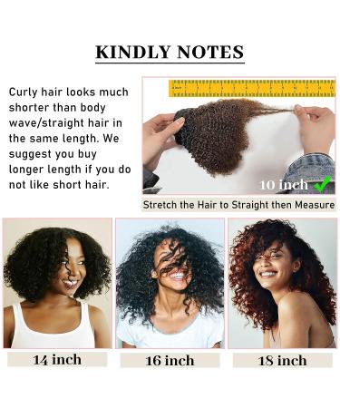 Anrosa 10 Inch Blonde Afro Kinky Curly Clip in Hair Extensions - 120g Human Hair 4A 4B for Black Women, 1B Ombre 1B/27 - Buy Online on GoSupps.com