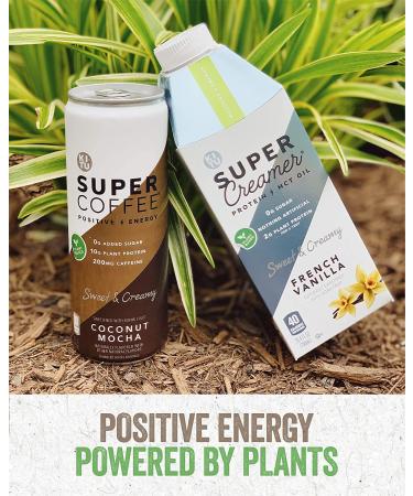 KITU SUPER COFFEE Vegan Protein Coffee Coconut Mocha 11 Fl Oz 12 Pack - 10g Protein, 0g Added Sugar, 90 Calories | Iced Coffee Keto Coffee, Pea Protein, Plant Based, Gluten Free - Buy Online on GoSupps.com