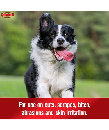 Sulfodene Dog Wound Care Ointment - Pain Relief & Infection Prevention for Cuts, Scrapes, Bites - 2 oz - Buy Online on GoSupps.com