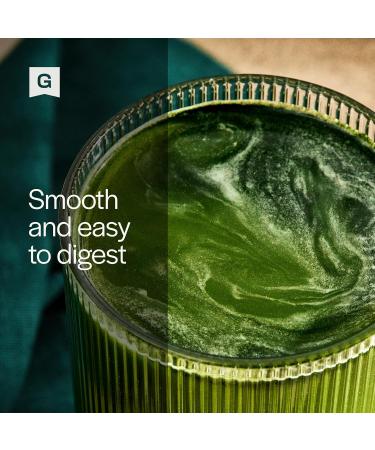 Gainful Daily Performance Greens Powder Coconut Pineapple Gut Health Energy Focus and Immune Support with L Theanine Organic Greens Chlorella Ginger Green + Adaptogen Drink Mix 28 Packets Tropical Pineapple 12.8 Ou  - Buy Online on GoSupps.com