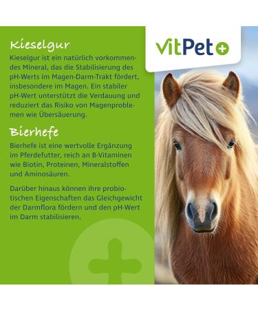 Vitpet+ Huf Probio - Special Mineral Feed for Horses with Biotin & Zinc - 4kg for Healthy Hoof Growth Includes Dosing Spoon - Buy Online on GoSupps.com