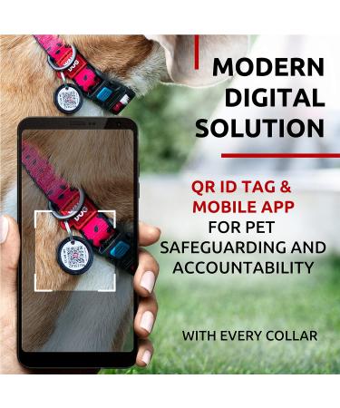 Buy Waudog Adjustable Nylon Dog Collar - Large Medium & Small Sizes - Pink Watermelon Design | International Shipping - Buy Online on GoSupps.com