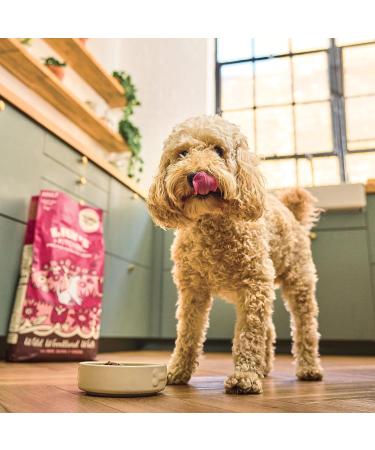 Lily's Kitchen Made with Natural Ingredients Adult Dry Dog Food Salmon & Venison Grain Free Recipe 12kg - Buy Online on GoSupps.com