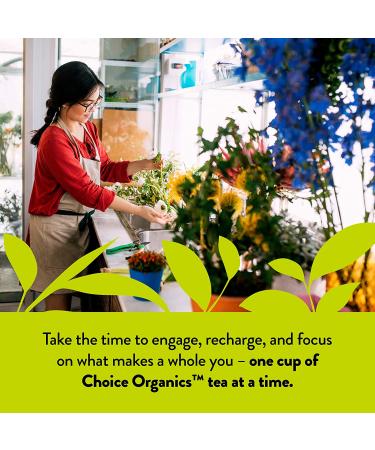 Choice Organics Jasmine Green Tea - Organic, Fair Trade, Compostable, 16 Bags - Buy Online on GoSupps.com
