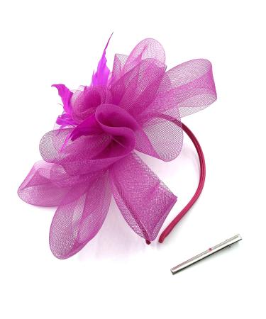 Hot Pink Fascinator Ladies Feather Beak Clip Fascinator / Headband Weddings Races Royal Ascot Hair Piece