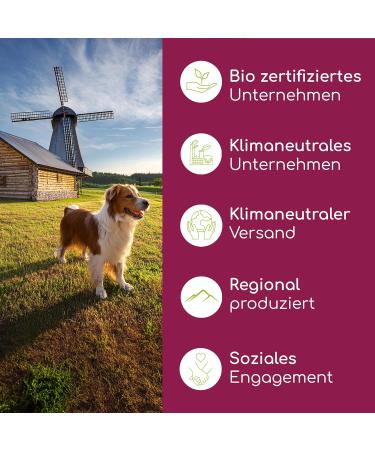 Natural Gastrointestinal Drops for Dogs | Fast & Reliable | With Probiotics & Milk Thistle Oil for Acute & Frequent Gastrointestinal Disorders - Buy Online on GoSupps.com