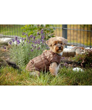 Buy Selente Paw Parade Waterproof Dog Coat - Black & White Camouflage - Fleece Lined Winter Jacket for Small & Medium Dogs - EU Made - Buy Online on GoSupps.com