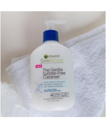 Garnier SkinActive Gentle Sulfate-Free Foaming Face Wash 13.5 oz - Non-Drying Cleanser - Buy Online on GoSupps.com