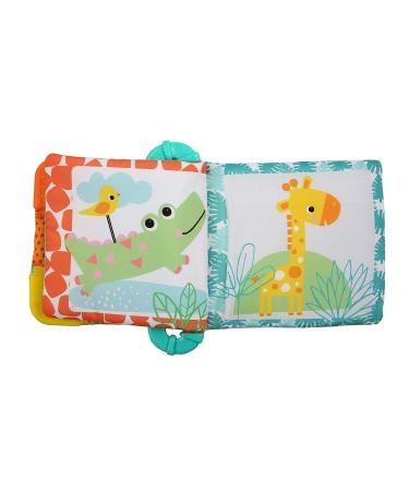 Bright Starts Teethe & Read Soft Book Toy  Ages 3 Months +  Style May Vary - Buy Online on GoSupps.com