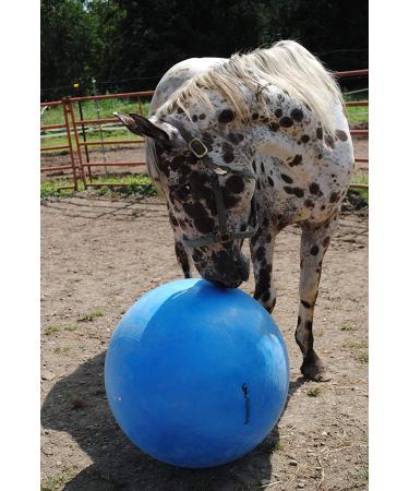Buy Horsemenâ€™s Pride Mega Ball - Durable Horse & Dog Toy for Fun Playtime - Buy Online on GoSupps.com