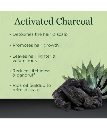 Activated Charcoal Shampoo - Natural & Sulfate Free Clarifying Shampoo with Keratin Argan & Jojoba Oils for All Hair Types - Detox Shampoo for Women & Men (16 oz - Buy Online on GoSupps.com