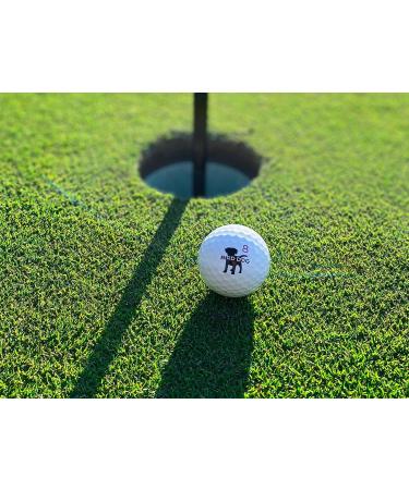 Bird Dog Alpha Premium Golf Balls - One Dozen | High-Quality Golf Balls - Buy Online on GoSupps.com