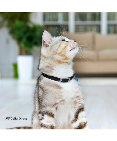 Collardirect Leather Cat Neck Collar - Safety Elastic Kitten Band with Bell - 23-28 cm - Available in Black Blue Red Orange Green Pink - International Shipping - Buy Online on GoSupps.com