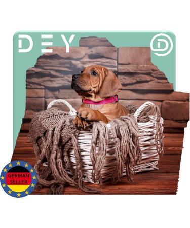 Dey Premium Reflective Dog Collar - Adjustable Nylon for Small & Large Dogs | Many Colors & Sizes | Perfect for Puppies & Cats - Buy Online on GoSupps.com