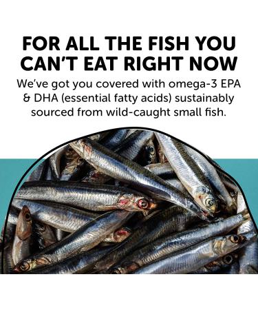 SmartyPants Prenatal Daily Gummy Multivitamin - 180 Count Bottle (40 Day Supply) - Buy Online on GoSupps.com