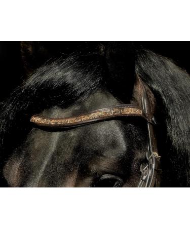 Havanna Bridle Brown Glitter Nose & Browband - Tysons VB WB XF XXF Coldblood | Shop Internationally - Buy Online on GoSupps.com