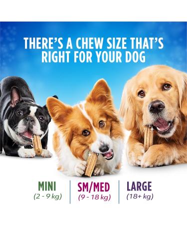 DentaLife Daily Oral Care Dog Treats for Mini Breed Dogs - 193 g Pouch (1 Pack) 193 g (Pack of 1) - Buy Online on GoSupps.com