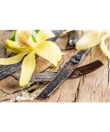 Tahitian Vanilla Beans - 50 Count Extract Grade B Pods for Baking, Homemade Extract, Brewing, Coffee, Cooking - Buy Online on GoSupps.com