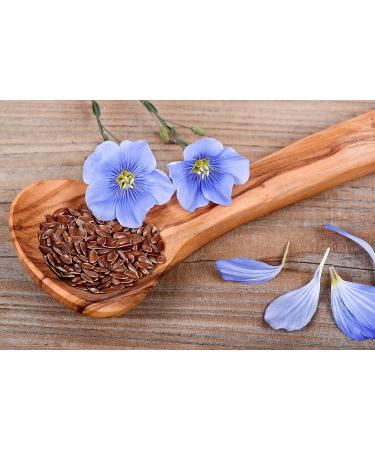 Simpliful Organic Whole Brown Flaxseed 28-oz - IntegriPure 1.75 Pound (Pack of 1) - Buy Online on GoSupps.com