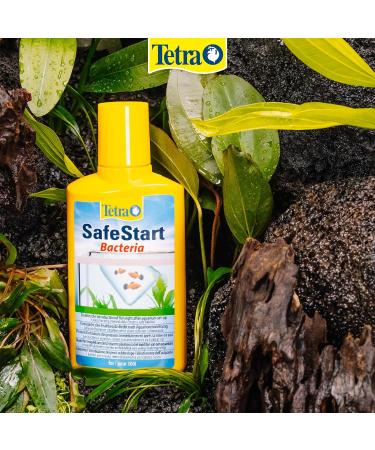 Tetra SafeStart Aquarium Starter - with live nitrifying bacteria allows the rapid introduction of fish in an aquarium 50 ml bottle. 50 ml (Pack of 1) Single - Buy Online on GoSupps.com