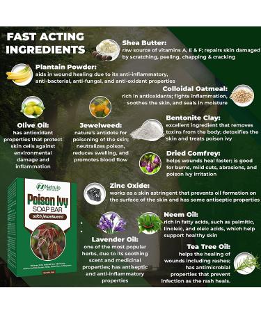 Natrulo Poison Ivy Soap Bar - All Natural Treatment for Poison Ivy, Oak & Sumac - Anti-Itch Cleanser Bar - Soothes Rashes - 4 oz Bar Made in USA - Buy Online on GoSupps.com