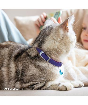 Collardirect Leather Cat Neck Band - Safe Elastic Collar with Bell for Kittens | Adjustable 23-28 cm | Available in Black Blue Red Orange Green Pink & Purple - Buy Online on GoSupps.com