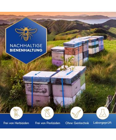 True Manuka Honey 550 MGO 250G - 100% Certified Pure New Zealand Manuka Honey - Buy Authentic Manukahonig Online - Buy Online on GoSupps.com