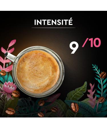 BLACK CARD - Coffee Bean Carte Noir "Secrets de Nature" - Congusta & Mundo Novo - Rainforest Alliance Certified - Pack of 1 k - Buy Online on GoSupps.com