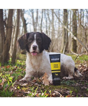 Animology Fox Poo Deodorising Dog Shampoo Twin Pack 250ml 250 ml (Pack of 2) - Buy Online on GoSupps.com
