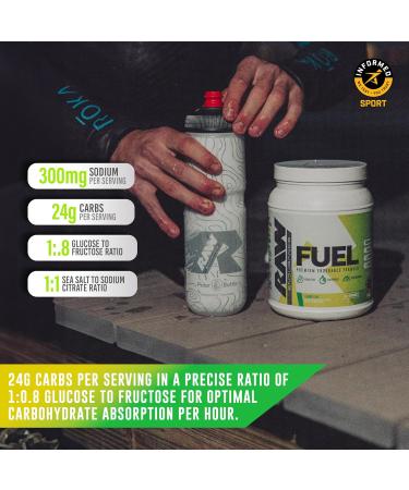 RAW Fuel Premium Endurance Supplement Powder Orange (60 Servings) - Peak Performance Hydration & Stamina During Workouts Training or Competition - 24g of Carbohydrates & 300mg of Sodium - Buy Online on GoSupps.com