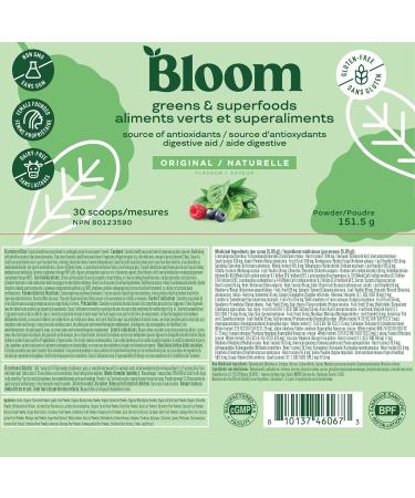 Bloom Nutrition Super Greens Powder Smoothie & Juice Mix - Probiotics for Digestive Health & Bloating Relief for Women Enzymes with Superfood Spirulina & Chlorella for Gut Health (Original) - Buy Online on GoSupps.com