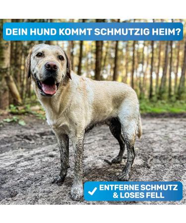 Bluepet Fellfein Bathing Brush for Short-Haired Dogs & Cats - Rubber Massage Brush for Loose Hair Dust & Dirt Removal - Ideal for Bathing & Massaging with Dog Shampoo - Buy Online on GoSupps.com