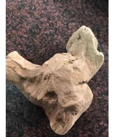 NATURE GREEN Chobchini Chopchini CHINA ROOT SMILAX Glabra 50 G - Buy Online on GoSupps.com