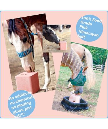 Himalayan Salt Lick for Horse, Cow, Goat - 100% Pure & Natural - 11 lb - Evenly Distributed Minerals - Pack of 1 - Buy Online on GoSupps.com