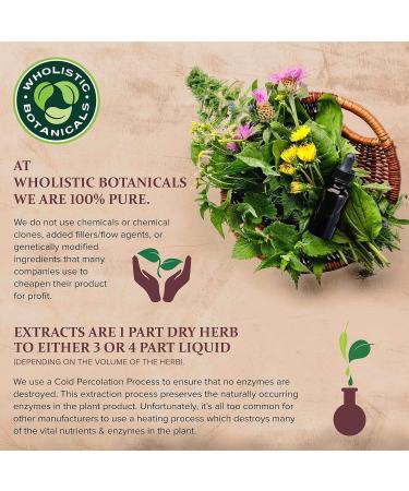 Wholistic Botanicals Ginkgo Biloba Capsule Memory Supplement for Brain Energy Supplement 100 ct - Buy Online on GoSupps.com