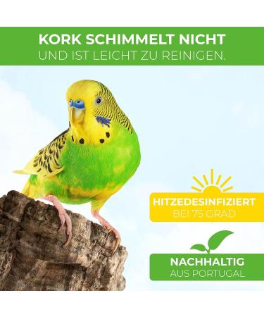 2 x Cork Seating Board for Birds - 10cm x 10cm 100% Natural Cork Fun with Fastening & 2 Nibbles - Perfect for Budgies - Buy Online on GoSupps.com
