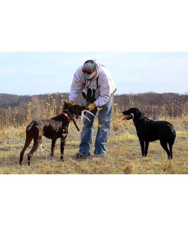 DogBone Shed Dog Training System - Train Your Dog to Find Sheds - Buy Online on GoSupps.com