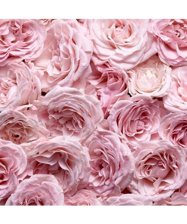 Escada Especially Eau De Parfum Women's Floral Perfume With Notes of Rose Petals & Pear Long Lasting Fragrance 1.6 Fl Oz - Buy Online on GoSupps.com