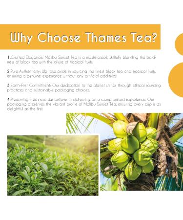 Thames Tea Premium Selection: Malibu Sunset Tropical Fruit Loose Leaf Tea in Tubebox - Buy Online on GoSupps.com