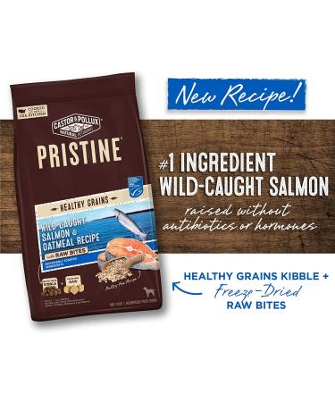Pristine Wild-Caught Salmon & Oatmeal Dog Food with Raw Bites - 4 lb | Healthy Grains - Buy Online on GoSupps.com