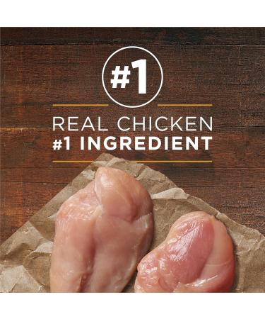 Purina ONE Smartblend Wet Dog Food Chicken & Brown Rice Entr e 368g can (12 pack) Wet Dog Food Chicken & Brown Rice 368 g (Pack of 12) - Buy Online on GoSupps.com