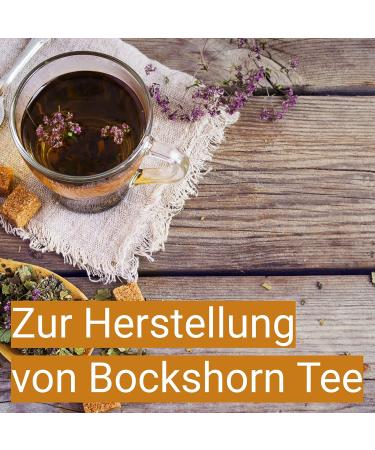  Wohltuer Organic Fenugreek Seeds 500g | Organic Fenugreek Seeds from Bavaria | Organic Fenugreek Tea | Fenugreek Spice - Buy Online on GoSupps.com