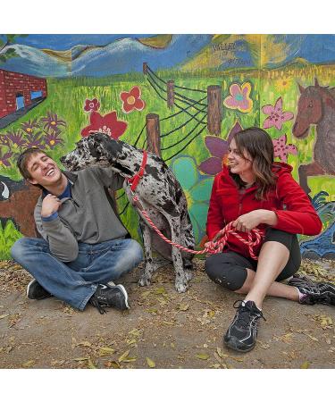 Mendota Pet Green 1/2" X 6' Snap Leash 1/2 " x 6 ' Hunter Green - Buy Online on GoSupps.com