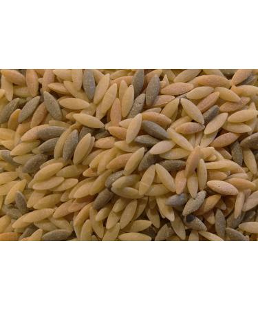 Yupik Tri-Color Orzo Pasta 1Kg 1 kg (Pack of 1) - Buy Online on GoSupps.com