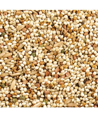 Wild Harvest Daily Blend Nutrition Diet for Parakeet, Canary, and Finch - 10 lb - Buy Online on GoSupps.com